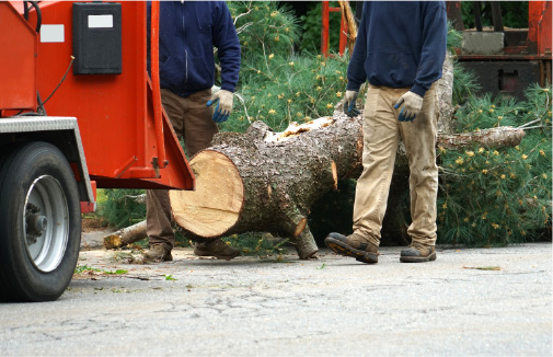 Millers Tree Service Erie PA Tree Chipper Shown Erie