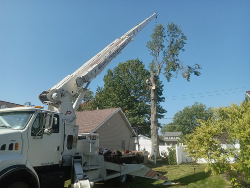 Shown: Miller’s Professional Tree Service using a professional crane to remove a very tall dying tree in Erie County, PA